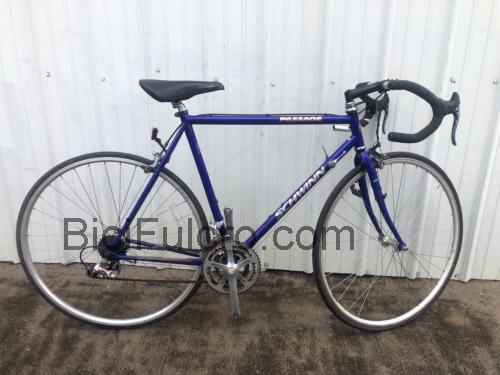 Schwinn Passage scheda tecnica e recensioni